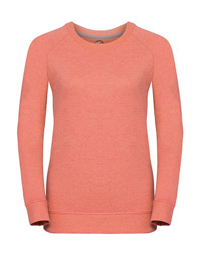 Damska bluza raglanowa HD
