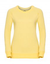 Damska bluza raglanowa HD