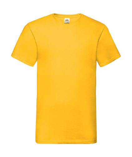 T-Shirt Valueweight V-Neck