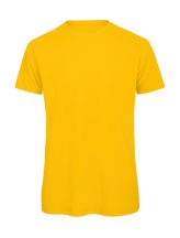 Organic Inspire T /men T-Shirt