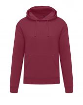 Męska Bluza Originals Hooded Sweat