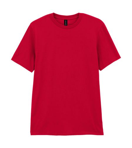 T-Shirt Męski Softstyle EZ
