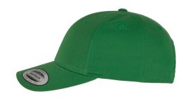 Czapka Classic Curved Snapback