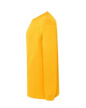 T-Shirt męski z długim rękawem TSRA170LS - GOLD